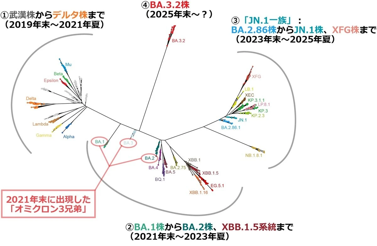 新たな変異株が流行の兆し!? 蝉とバギーとBA.3.2(後編)【「新型コロナウイルス学者」の平凡な日常】